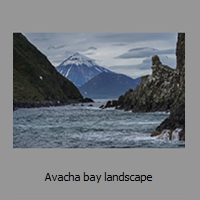 Avacha bay landscape